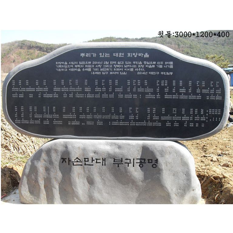 홍성군 장곡면 대현1리